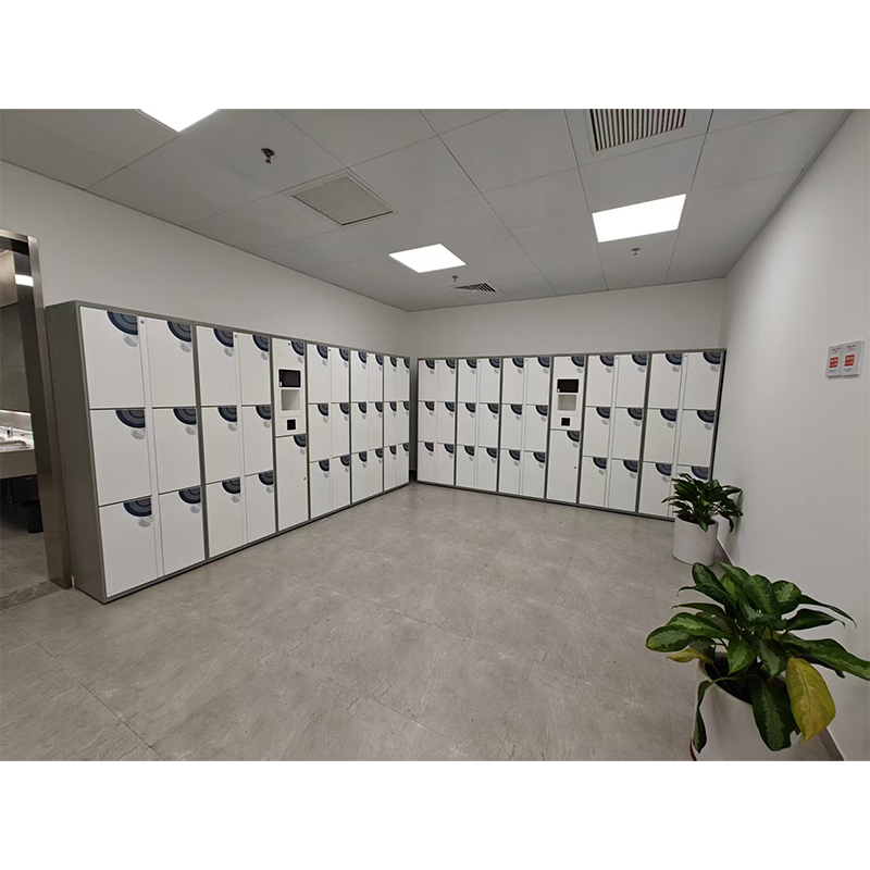 Smart Lockers With Palm Recognition