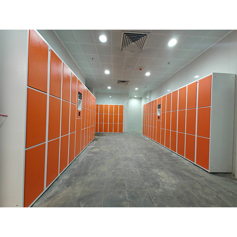 Smart Lockers With Palm Recognition